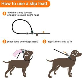 img 1 attached to 🐕 5 Feet Slip Lead Dog Leash - No Choke, Strong Braided Rope Slip-on Training Leash - Ideal for Large, Medium, Small Dogs - Comfortable Padded Handle - Perfect for Puppy Obedience Recall Training Lead