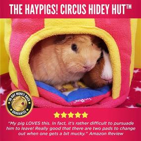 img 1 attached to 🎪 HAYPIGS Circus Themed Hidey Hut - Fleece Guinea Pig House | Ideal Guinea Pig Hideout, Bed, and Hideouts | Suitable for Hamsters, Ferrets, Rats, Bunnies or Rabbits | Small Animal Houses & Habitats