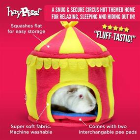 img 3 attached to 🎪 HAYPIGS Circus Themed Hidey Hut - Fleece Guinea Pig House | Ideal Guinea Pig Hideout, Bed, and Hideouts | Suitable for Hamsters, Ferrets, Rats, Bunnies or Rabbits | Small Animal Houses & Habitats