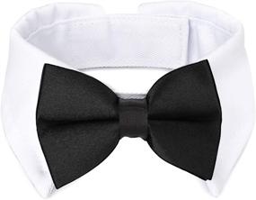 img 4 attached to 🐾 Handcrafted Adjustable White Bow Tie Dog Collar by Segarty - Formal Tux Bowtie for Pet Cats and Puppies, Necktie for Small Boy Dog - Ideal Gift for Wedding, Birthday, and Grooming Bows