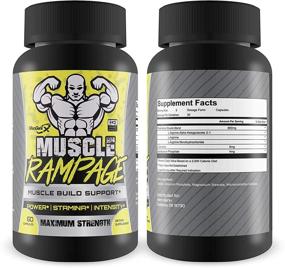 img 2 attached to Mengenix Rampage Support Increase Power Stamina Intensity