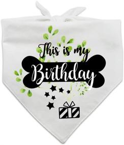 img 3 attached to Family Kitchen Birthday Bandana Accessories Dogs