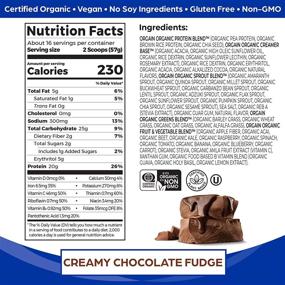 img 3 attached to 🌱 Orgain Vegan Protein Meal Replacement Powder - 20g of Plant-Based Protein, Organic, Gluten-Free, Dairy-Free, Non-GMO, Creamy Chocolate Fudge, 2.01lb (Packaging May Vary)