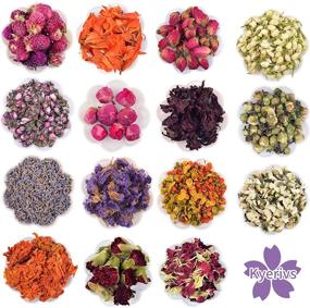 img 4 attached to 🌸 Premium Dried Flowers and Herbs Kit for Bath, Soap and Candle Making, Aromatherapy, Witchcraft Supplies, Ideal Mothers Day Gifts - 15 Bags of Lavender and Witch Herbs