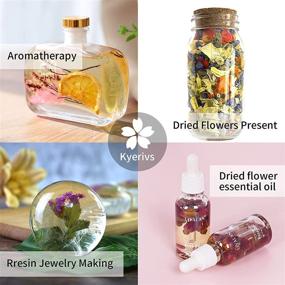 img 2 attached to 🌸 Premium Dried Flowers and Herbs Kit for Bath, Soap and Candle Making, Aromatherapy, Witchcraft Supplies, Ideal Mothers Day Gifts - 15 Bags of Lavender and Witch Herbs