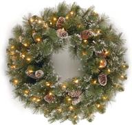 🎄 national tree company pre-lit glittery green christmas wreath - 24 inch artificial pine with white lights, pine cones, and frosted branches logo
