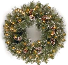 img 4 attached to 🎄 National Tree Company Pre-Lit Glittery Green Christmas Wreath - 24 Inch Artificial Pine with White Lights, Pine Cones, and Frosted Branches