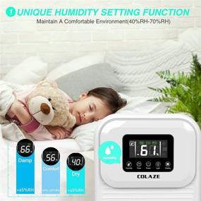 img 2 attached to COLAZE Home Dehumidifiers: Small Dehumidifier with Drain Hose 🏠 and LED Display - Up to 500 Sq.ft, Adjustable Humidity Setting