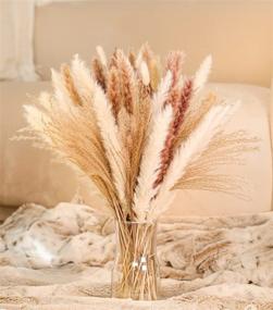 img 4 attached to 🌸 85-Piece Boho Home Decor Dried Flowers Arrangements: White & Natural Pampas Grass, Reed, Bunny Tails by MagicDecor