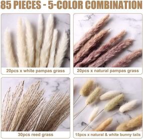 img 3 attached to 🌸 85-Piece Boho Home Decor Dried Flowers Arrangements: White & Natural Pampas Grass, Reed, Bunny Tails by MagicDecor