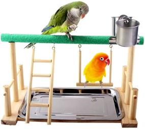 img 2 attached to 🦜 QBLEEV Parrot Playstand Bird Playground Wood Perch Gym Stand Playpen Ladder with Toys Exercise Playgym for Conure Lovebirds