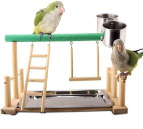 img 3 attached to 🦜 QBLEEV Parrot Playstand Bird Playground Wood Perch Gym Stand Playpen Ladder with Toys Exercise Playgym for Conure Lovebirds