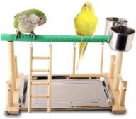 🦜 qbleev parrot playstand bird playground wood perch gym stand playpen ladder with toys exercise playgym for conure lovebirds logo