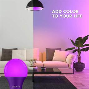 img 2 attached to 🔮 Luxrite A19 LED Purple Lighting Bulbs