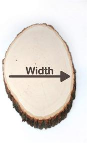 img 1 attached to 🪵 Medium Wilson Basswood Round/Oval, 7-9 inch Wide x 5/8 inch Thick
