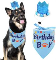 🐶 medium to large dog birthday bandana scarf, hat, and flower headwear set логотип