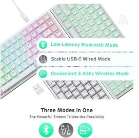 img 2 attached to 🎮 RK Royal Kludge RK84 Mechanical Keyboard with RGB, Triple Mode BT5.0/2.4G/Wired, Hot-Swappable, 84 Keys, Wireless Bluetooth Gaming Keyboard with Quiet Red Switches