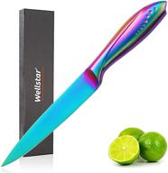 rainbow wellstar vegetable stainless titanium logo