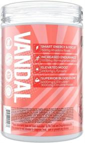 img 2 attached to Vandal Pre Workout Powder: a Safe Nootropic Supplement for Enhanced Energy, Focus, and Performance - 40 Servings