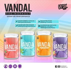 img 1 attached to Vandal Pre Workout Powder: a Safe Nootropic Supplement for Enhanced Energy, Focus, and Performance - 40 Servings