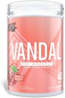 vandal pre workout powder: a safe nootropic supplement for enhanced energy, focus, and performance - 40 servings logo