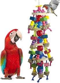 img 4 attached to DELOKEY Large Parrot Toys: Premium Natural Wood Chewing Toys for Macaws, Cockatoos, African Grey, and Large Amazon Parrots