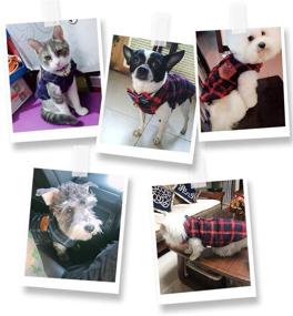 img 2 attached to 🐕 Stylish England Plaid Dog Clothes: Warm Flannel T-Shirt for Small/Medium Pets - BBEART Pet Apparel