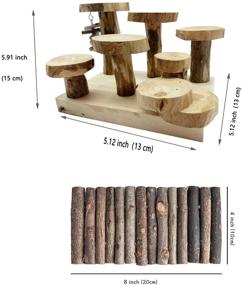 img 3 attached to 🐹 Ultimate Hamster Climbing Activity Set: Natural Wood Playground with Bridge, Gerbil House, Hideout, Chewing Toys - Ideal for Sugar Glider, Chinchilla, Guinea Pigs, Mouse