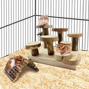 img 2 attached to 🐹 Ultimate Hamster Climbing Activity Set: Natural Wood Playground with Bridge, Gerbil House, Hideout, Chewing Toys - Ideal for Sugar Glider, Chinchilla, Guinea Pigs, Mouse