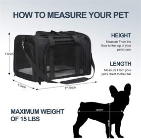 img 2 attached to Nooyi Cat Carrier Dog Carrier Puppy Carrier, Airline Approved Pet Carrier, Soft Sided Collapsible Pet Travel Carrier for Small-Medium Cats and Small Dogs up to 15 lbs - Black/Grey