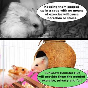 img 1 attached to 🏠 SunGrow Coconut Hamster House: Ladder, 5” Diameter; 2.5” Opening Hole; Nesting Home & Feeder + Hanging Loop