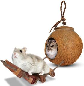 img 4 attached to 🏠 SunGrow Coconut Hamster House: Ladder, 5” Diameter; 2.5” Opening Hole; Nesting Home & Feeder + Hanging Loop