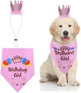 cozifree dog birthday bandana - girl/boy party supplies & decorations outfit for pet puppy/cat логотип