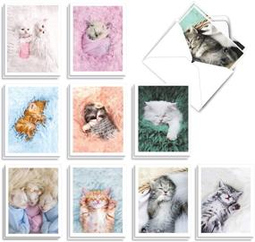 img 4 attached to 💌 20 Kids Invitation Note Cards with Envelopes by The Best Card Company - Box of Assorted RSVP Invites (4 x 5.12 Inch, 10 Designs, 2 Each) - Fluffy Furballs AM7168ING-B2x10
