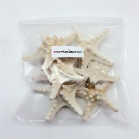 img 1 attached to PEPPERLONELY Natural Knobby Armored Starfish Fish & Aquatic Pets