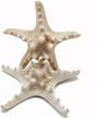 pepperlonely natural knobby armored starfish fish & aquatic pets logo