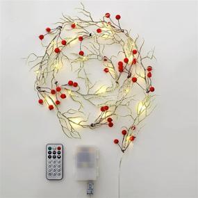 img 1 attached to MIYA LIFE Snow Branches String Light: Festive USB & Batteries-powered 6ft 20LEDs Handcrafts for Christmas Tree Decoration, Fireplace, Bedroom, Garden Gate & More – Perfect New Year Gift!