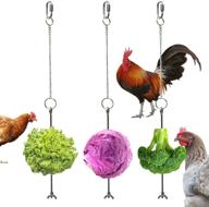 🐔 vehomy hanging chicken vegetable feeder toy | skewer fruit holder for hens & large birds | 3pcs logo