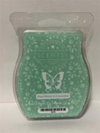 scentsy cucumber wickless candle squares логотип