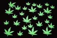50-piece luminous marijuana weed pot leafs: glow-in-the-dark wall 🍁 ceiling decor, sturdy plastic with adhesive - perfect for parties! logo