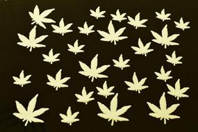 img 2 attached to 50-частей светящихся листьев марихуаны: светятся в темноте, декор для стен и потолка 🍁, прочный пластик с клеевым слоем - идеально для вечеринок!