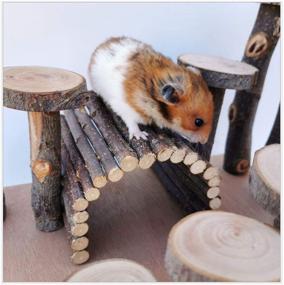 img 2 attached to 🐹 Hamiledyi Hamster Natural Living Climb System: Ultimate Rat Playground Activity Set with Wood Bridge, Food Bowl, Tunnel, Ladders - Ideal Play Toys and Natural Hideout for Mouse, Gerbil, Small Animals