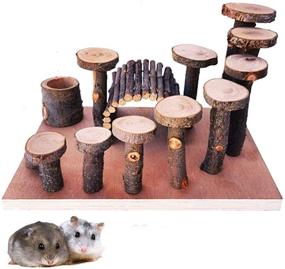img 4 attached to 🐹 Hamiledyi Hamster Natural Living Climb System: Ultimate Rat Playground Activity Set with Wood Bridge, Food Bowl, Tunnel, Ladders - Ideal Play Toys and Natural Hideout for Mouse, Gerbil, Small Animals