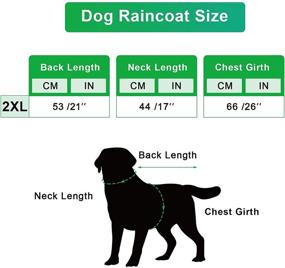 img 3 attached to Coitak Full Body Dog Raincoat: Waterproof Poncho Jacket with Removable Hood for Small Dogs - Green XXL (XX-Large)