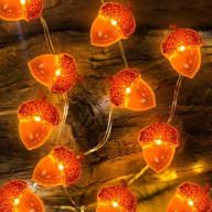 🍂 2-pack 3d thanksgiving acorns string lights fall garland - 20ft &amp; 60 led warm white battery powered fall lights for autumn home indoor outdoor decorations by turnmeon logo