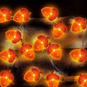 img 3 attached to 🍂 2-Pack 3D Thanksgiving Acorns String Lights Fall Garland - 20Ft &amp; 60 LED Warm White Battery Powered Fall Lights for Autumn Home Indoor Outdoor Decorations by TURNMEON