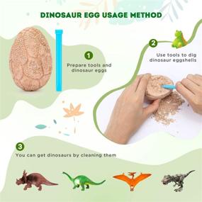 img 2 attached to Dinosaur Discover: Embark on an Epic Archaeological Dig for Ancient Dinosaurs