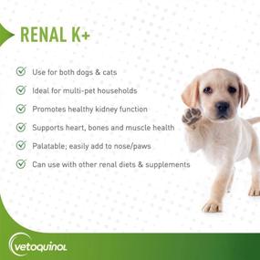 img 3 attached to Vetoquinol Renal K+ Potassium Supplement Gel for Dogs and Cats - 5oz Pack Size