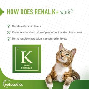 img 2 attached to Vetoquinol Renal K+ Potassium Supplement Gel for Dogs and Cats - 5oz Pack Size