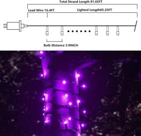 img 1 attached to Halloween Decorations: Vanthylit 81.7FT 200LED Purple Halloween String Lights with Music Sync Spooky Sounds - Ideal for Indoor and Outdoor Patio Lawn Garden